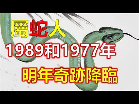 1989年 蛇 五行